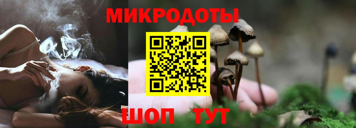Псилоцибиновые грибы Cubensis  Псилоцибиновые грибы GOLDEN TEACHER  Вход с VPN  Старая Купавна 